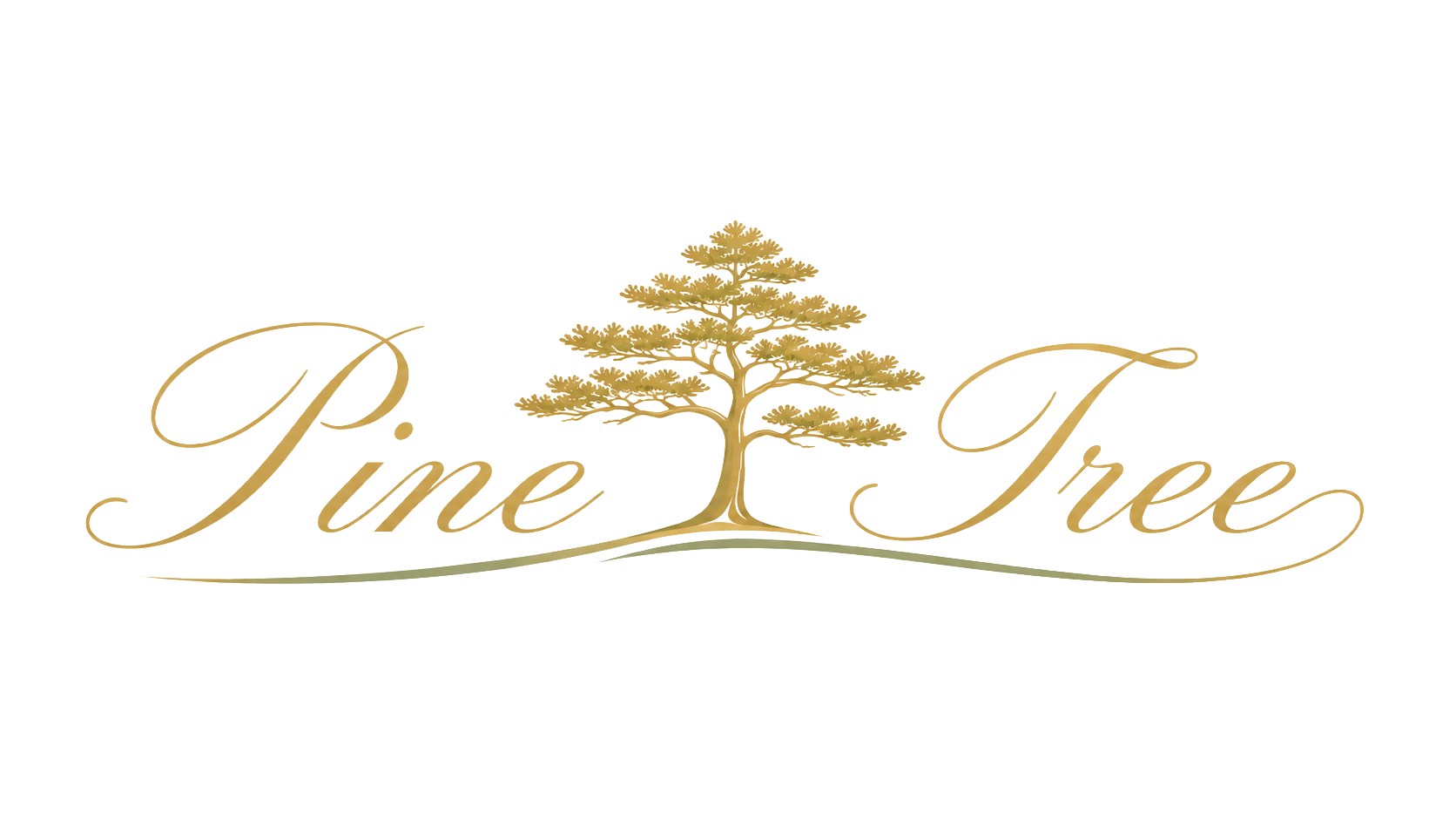 Pine Tree logo